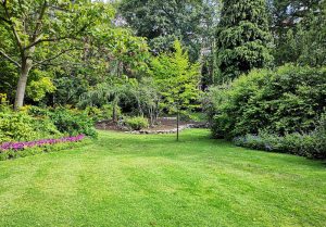 Optimiser l'expérience du jardin à Wargnies-le-Petit